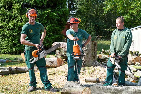 Eine nicht zu unterschätzende, anspruchsvolle Aufgabe eines jeden Landschaftsgärtners, stellt die Baumpflege und der fachgerechte Gehölzschnitt dar.